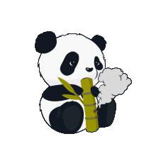 小熊猫辅助器(免费)超自然模式安装包下载配套v1.1