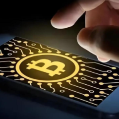 波币pay钱包app官方下载最新版本
